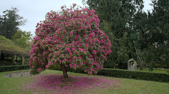 Jardines con historia - Parque Pazo de Quiñones de León, Vigo