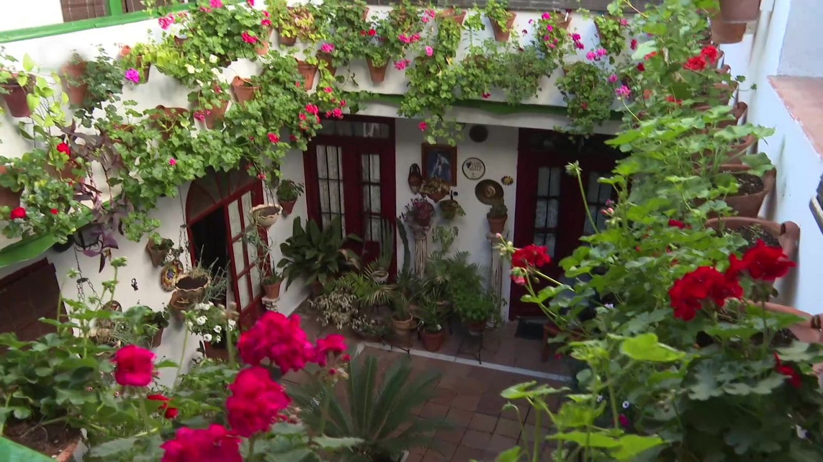 Repor - Historias de mi patio - ver ahora