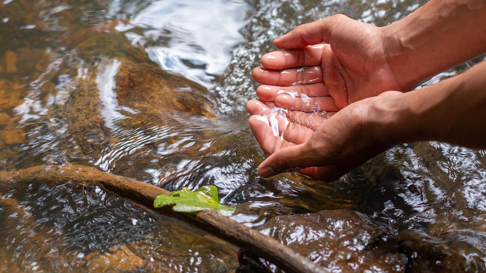 El Tins, el primer río de España con derechos | Ver