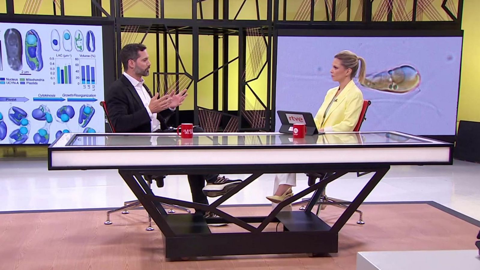 La aventura del saber - 06/05/24 - ver ahora