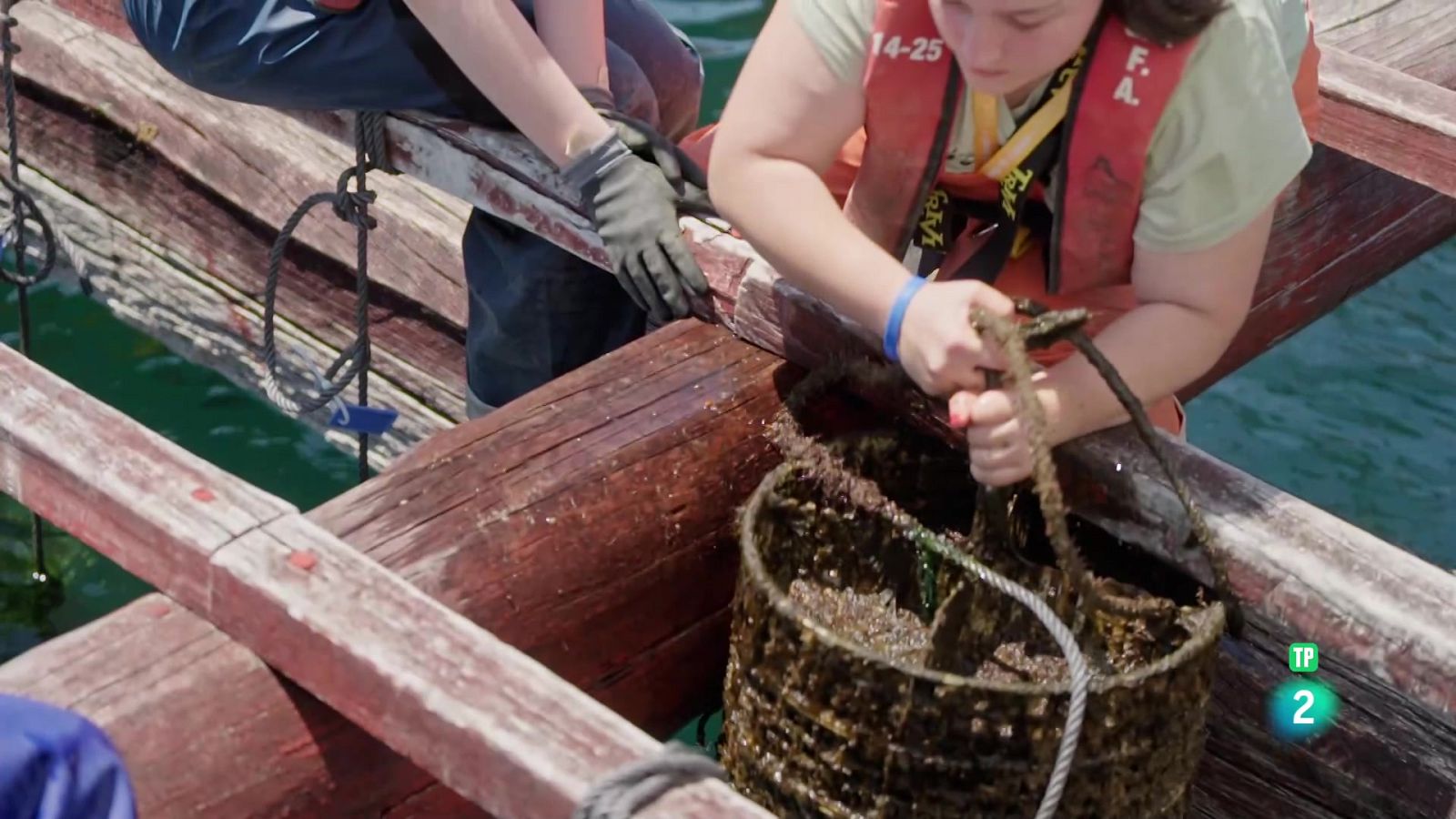 Instituto Galego de Formación en Acuicultura | Ver