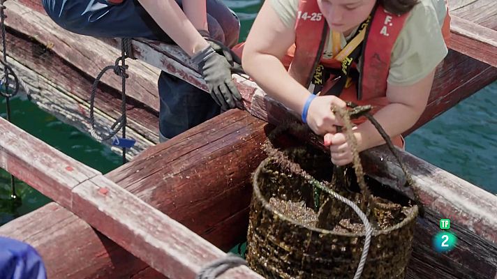 La aventura del Saber - Instituto Galego de Formación en Acuicultura