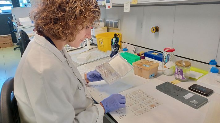 Telediario 2 - Investigadores de Barcelona descubren una variante genética del alzhéimer que afecta a millones de personas