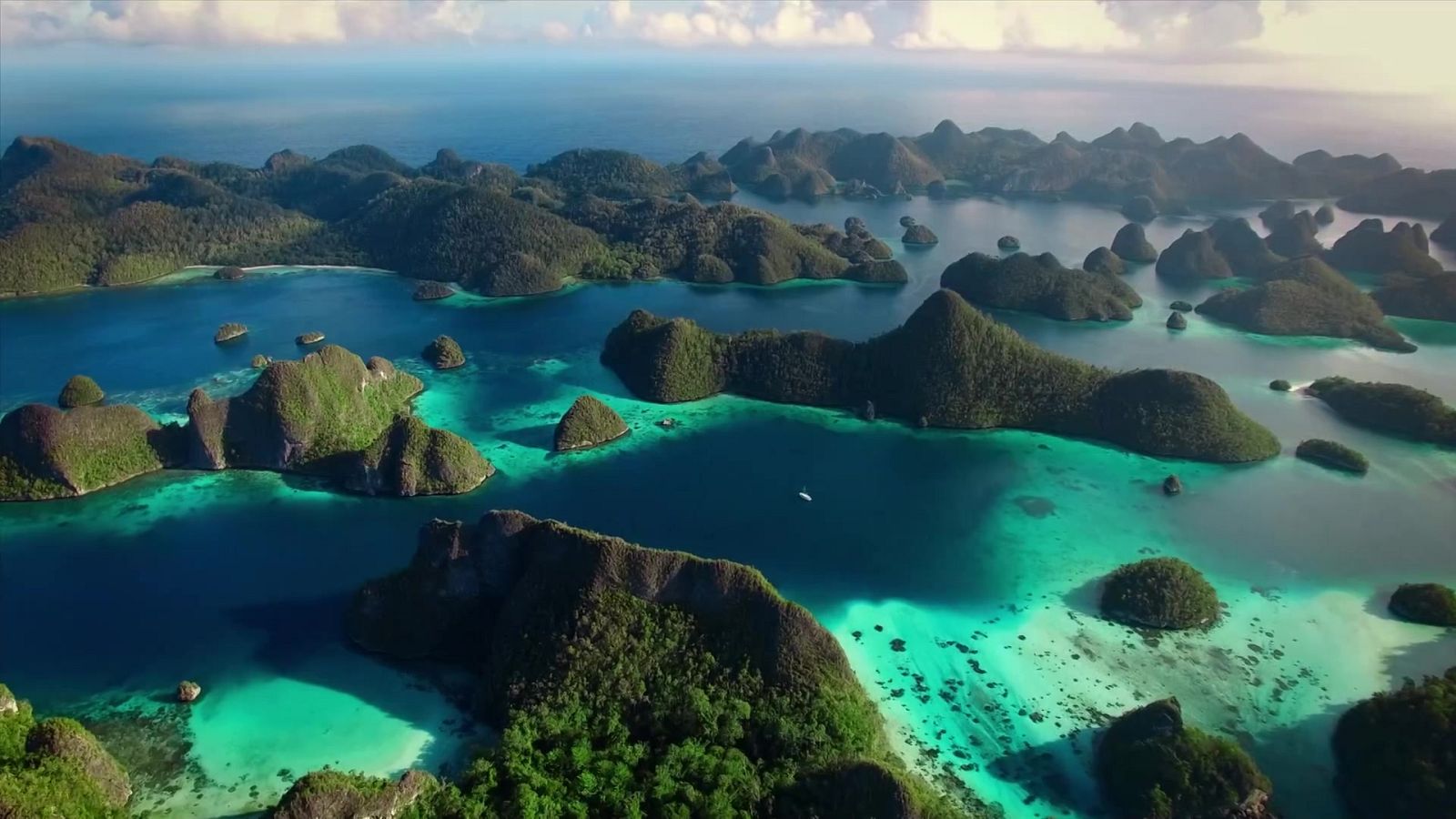 Grans Documentals - Un any salvatge a la Terra: Gener i febrer - Veure ara