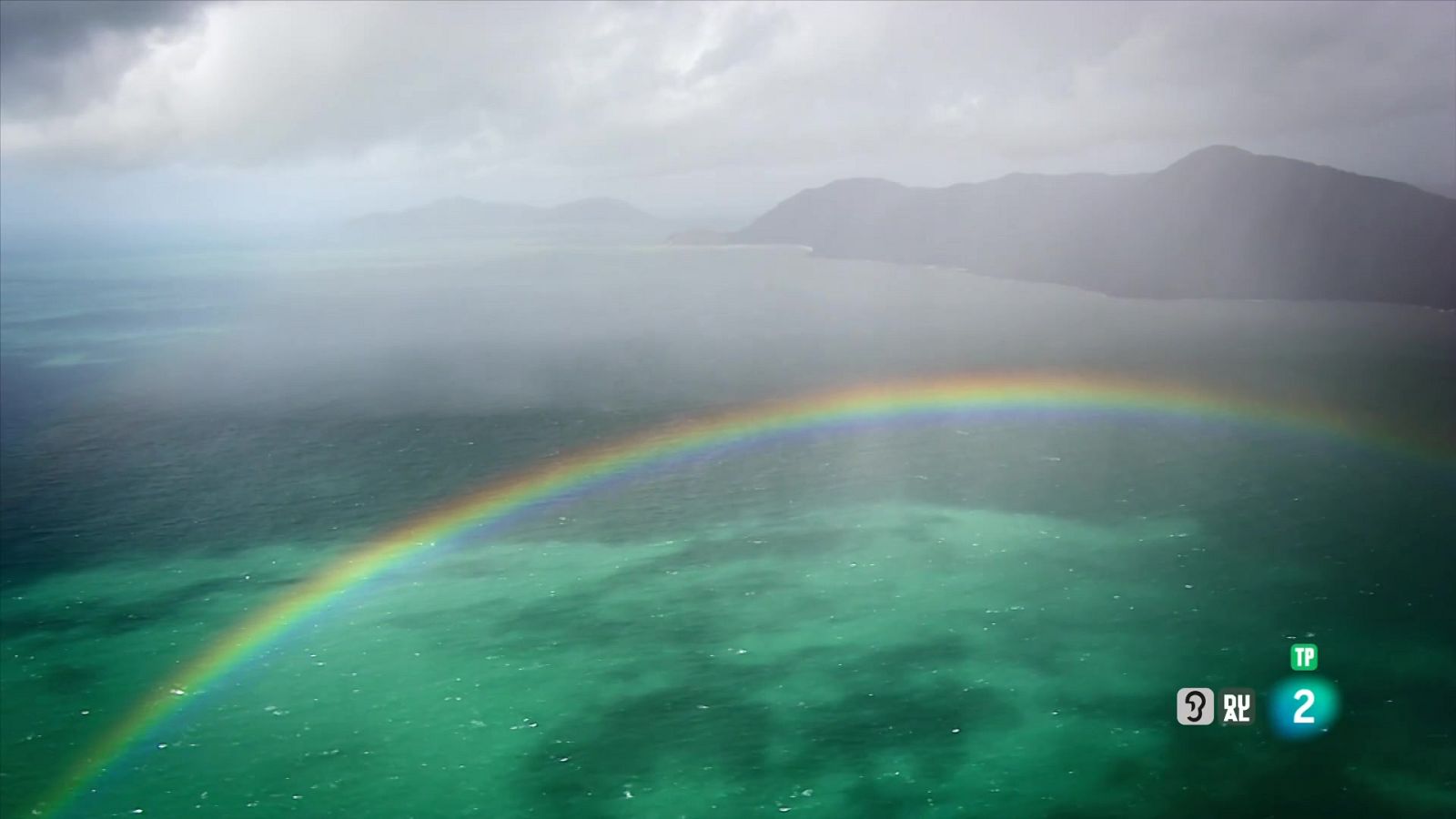 Grans Documentals - Un any salvatge a la Terra: Març i abril, temps de renovació - Veure ara