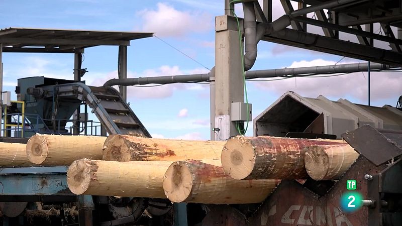 Universo Sostenible: La madera | Ver