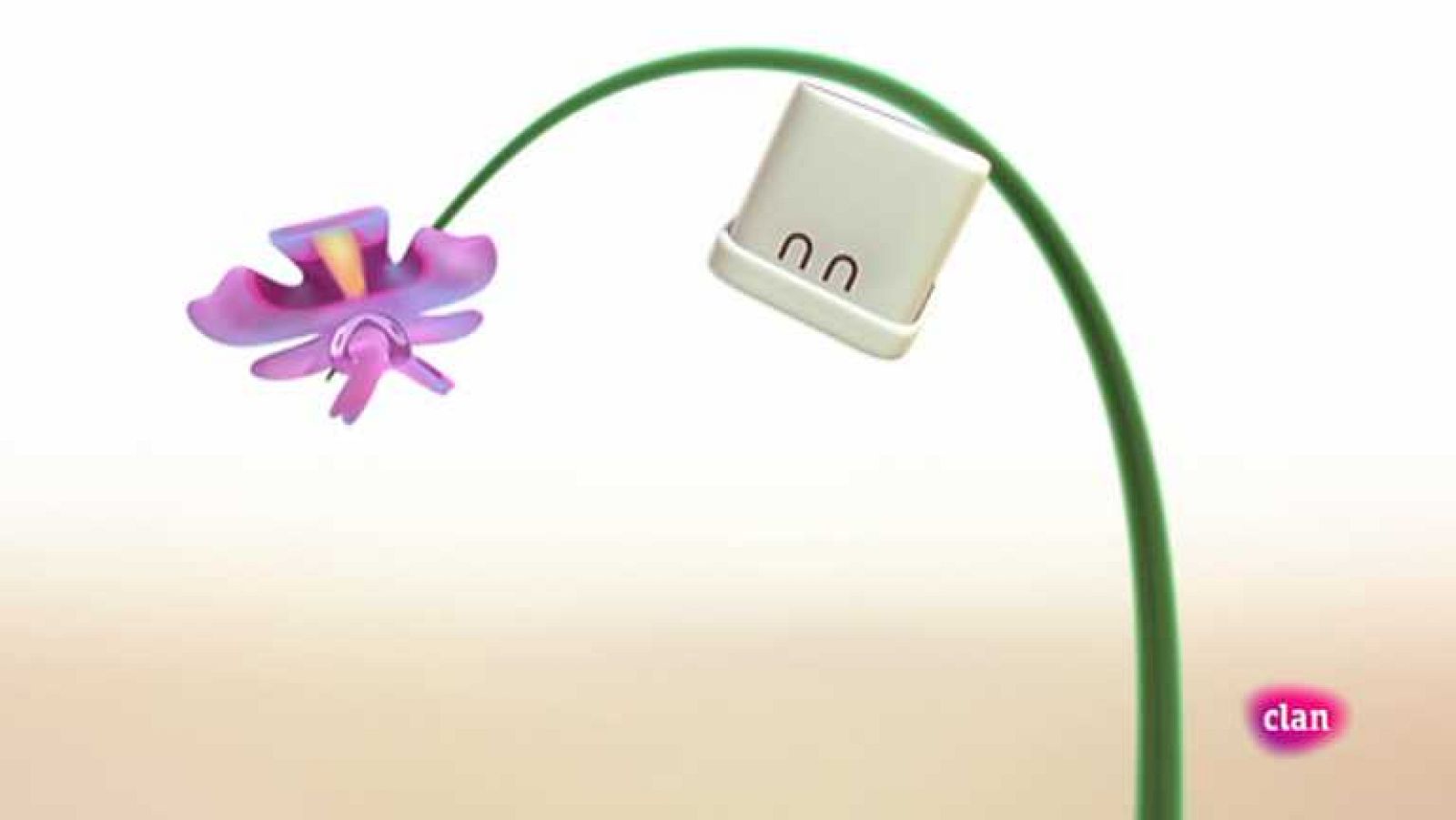 Araña - Zoobabu | Ver