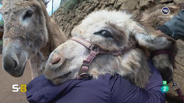 Somos 8 - Somos 8 - 08/05/2024