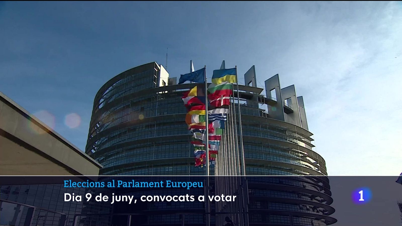 Eleccions europees | Ver