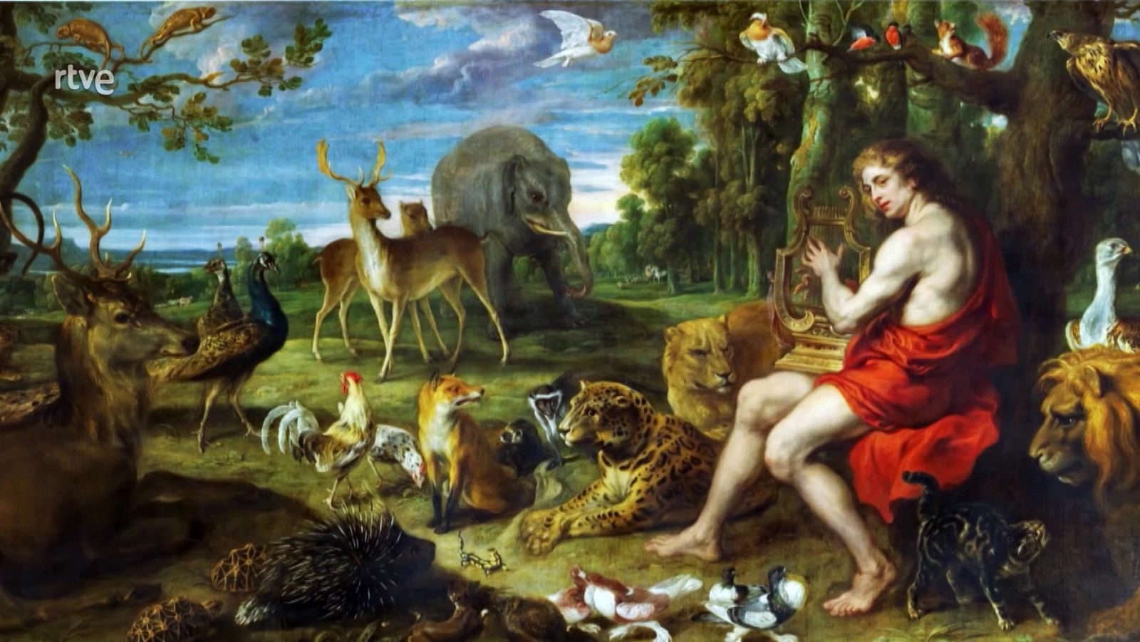 UNED - 10/05/24 - ver ahora