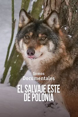 Somos Documentales - El salvaje este de Polonia