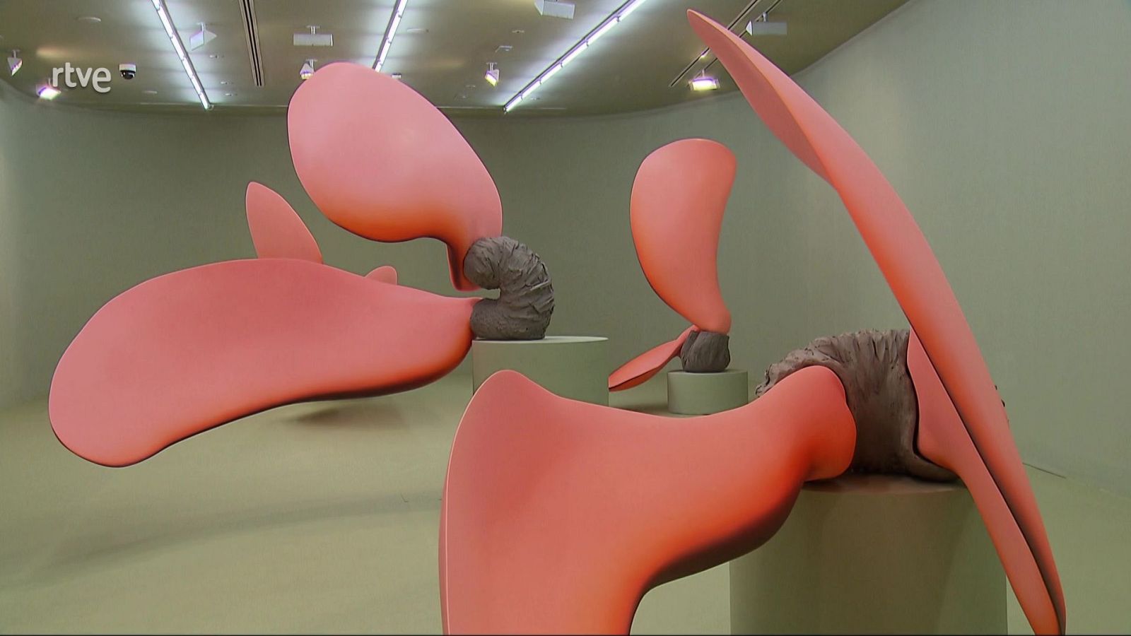 Exposición Teresa Solar y Asunción Molinos en CA2M - Atención obras | Ver