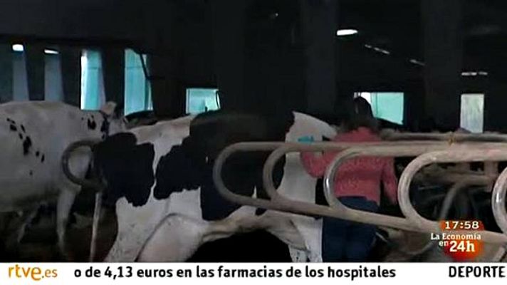 La tarde en 24h - Controlar la calidad de la leche