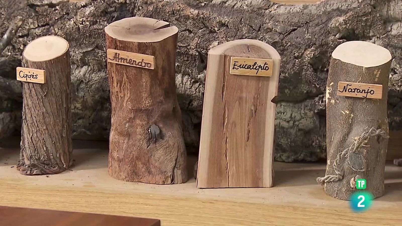 Torrejón forma a los carpinteros del siglo XXI | Ver