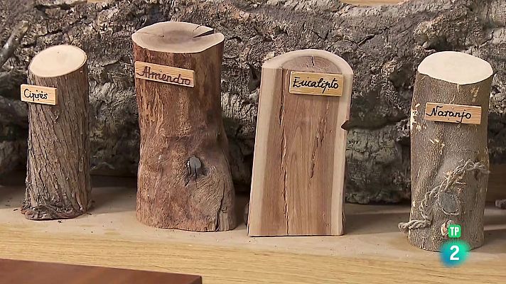 La aventura del Saber - Torrejón forma a los carpinteros del siglo XXI