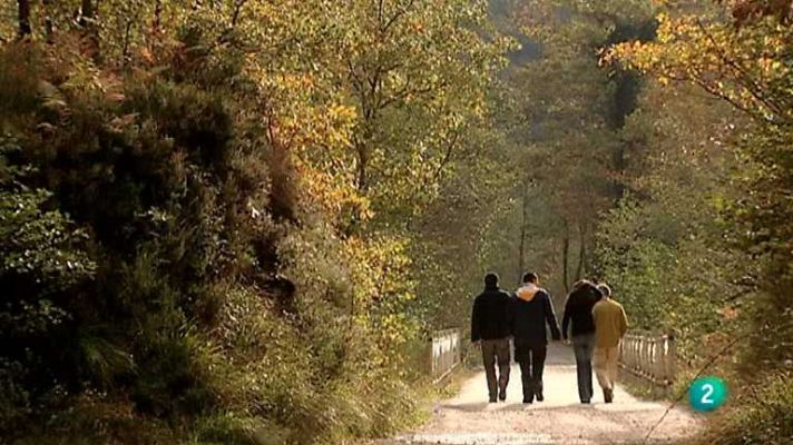 Biodiario - Biodiario - 12/12/12