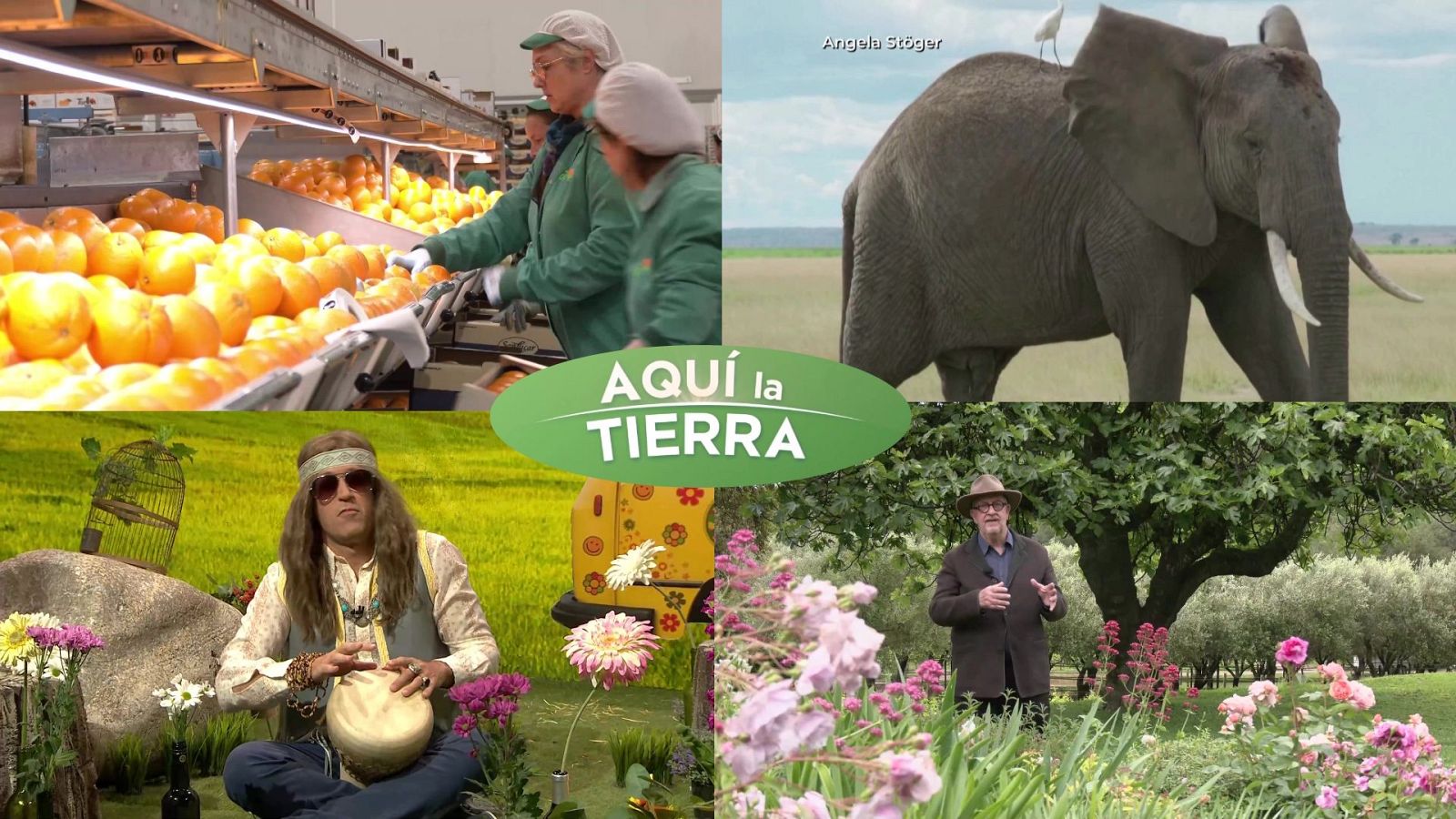 Aquí la Tierra - 14/05/24 - ver ahora