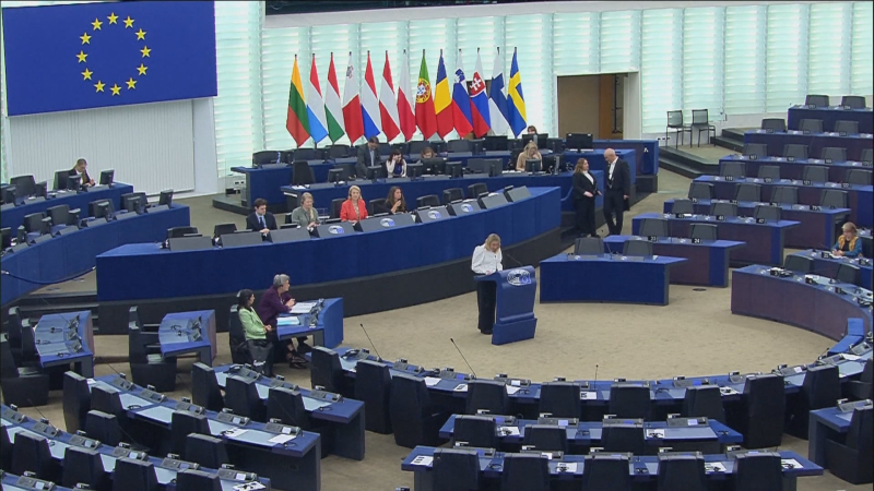 Leyes europeas contra las violencias machistas