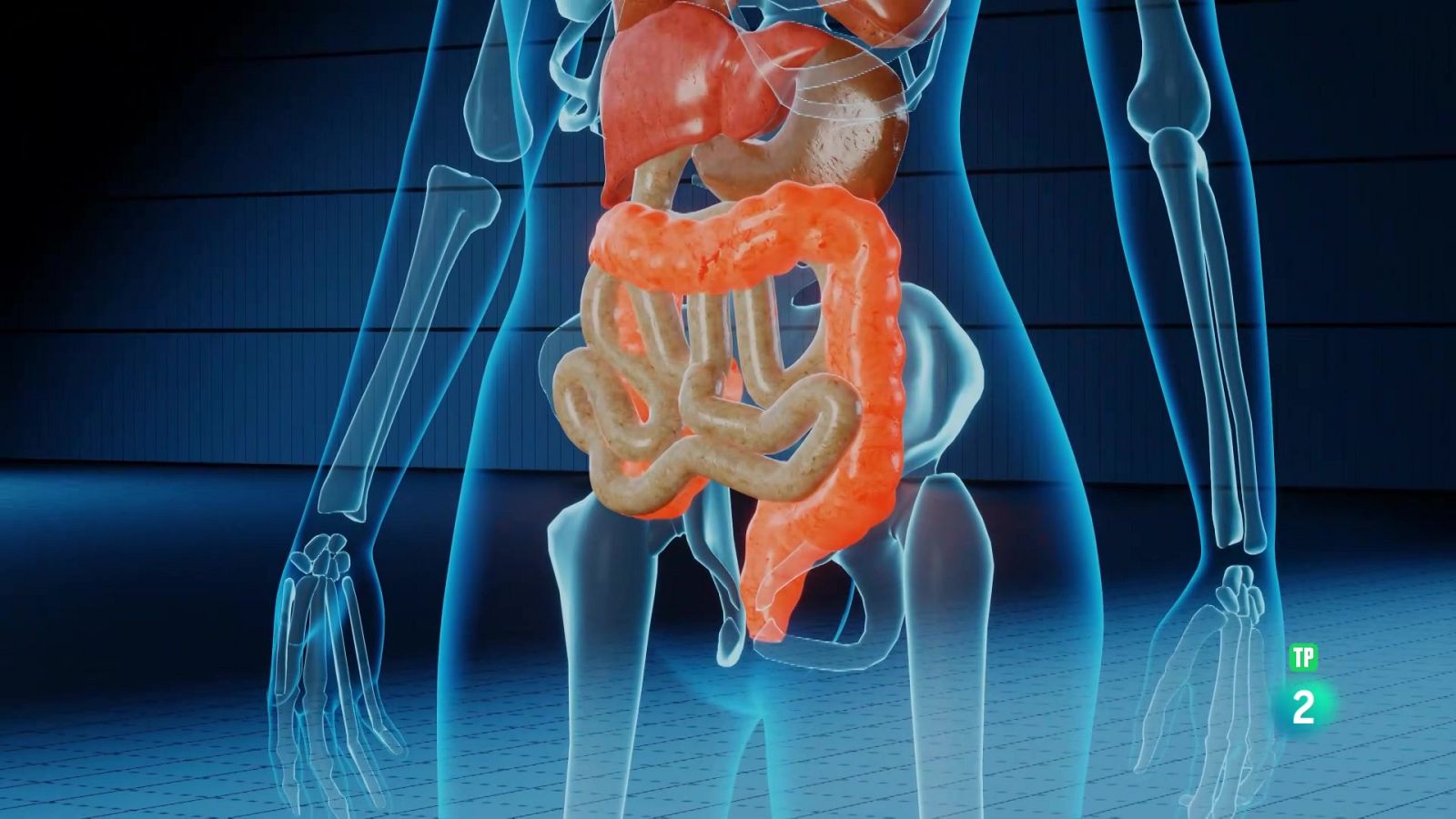Universo Sostenible. La microbiota, el segundo cerebro | Ver
