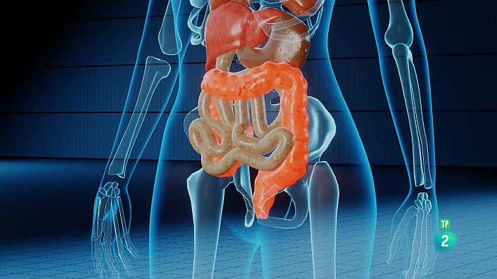 La aventura del Saber - Universo Sostenible. La microbiota, el segundo cerebro