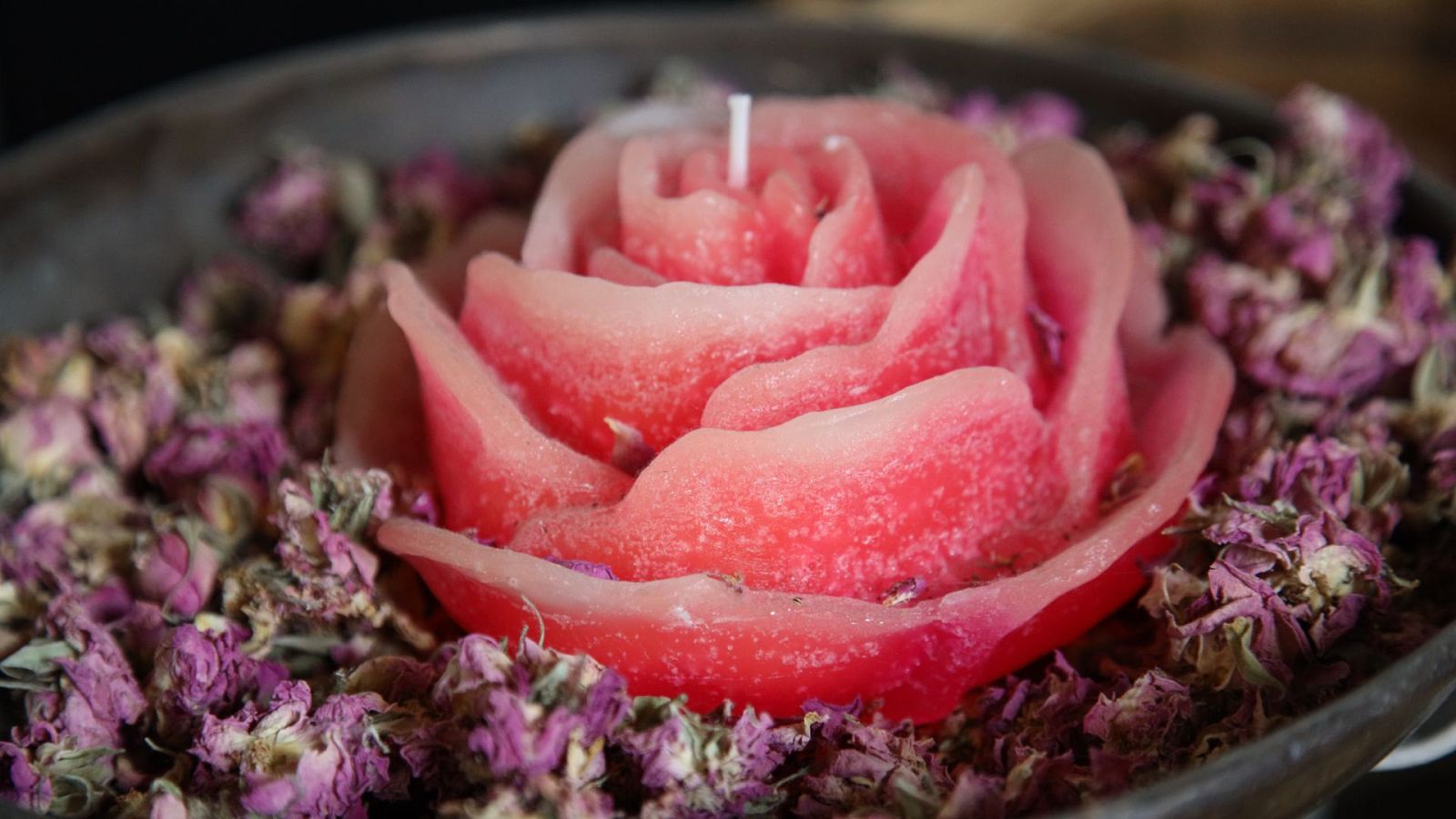 Sin equipaje - Caballos de Chipre, artistas de rosas, jardines de cítricos - ver ahora