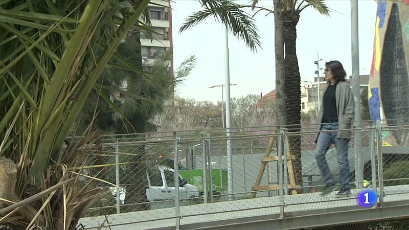 Eva Baltasar publica 'Ocàs i fascinació', un viatge literari a la precarietat - L'Informatiu | Veure