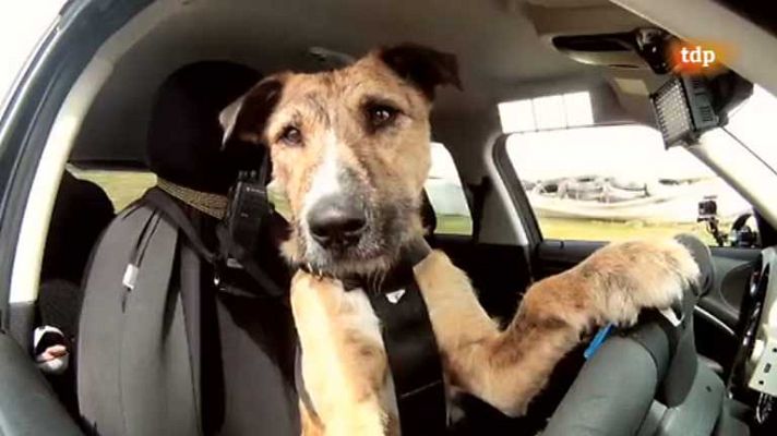 Conexión motor - Conexi��n Motor - 12/12/12