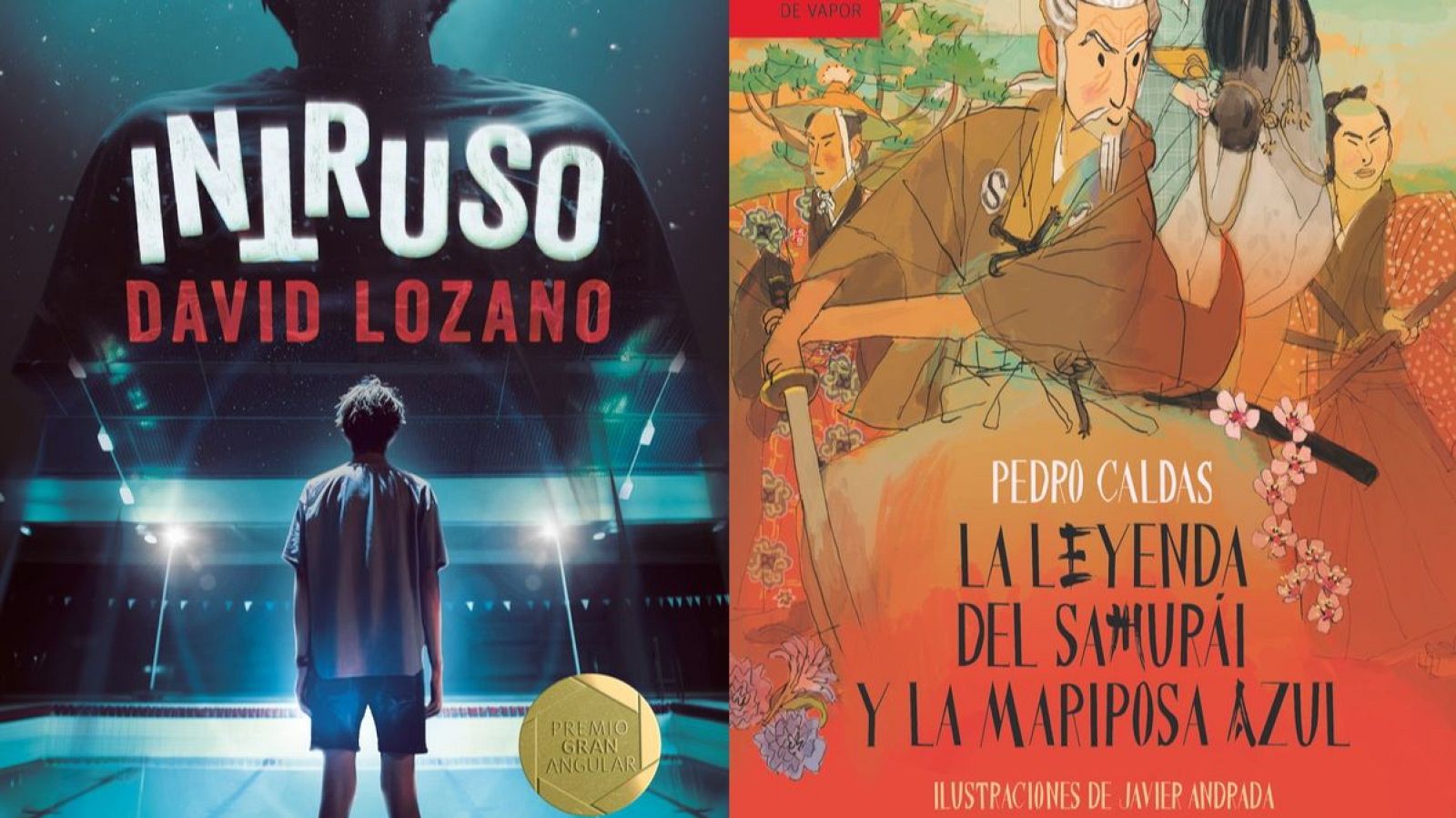 Premios Barco de Vapor y Gran Angular 2024 | Ver