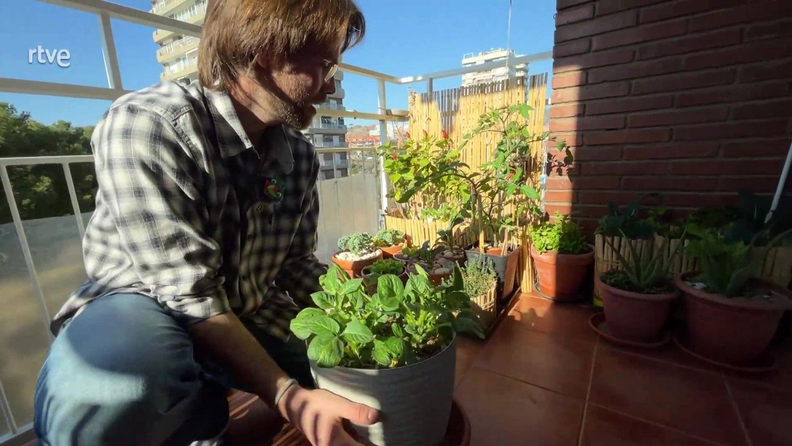 Hort urbà al balcó - Va de Verd | RTVE Catalunya - Va de verd | Veure