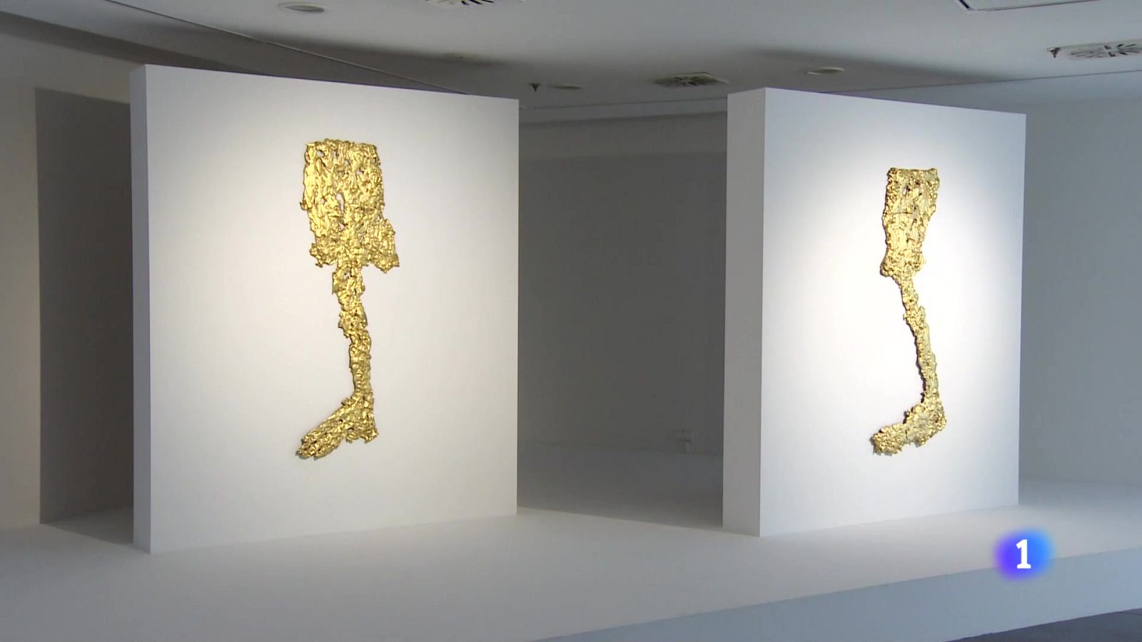 Informativo Telerioja - 16-05-2024 - ver ahora | Ver