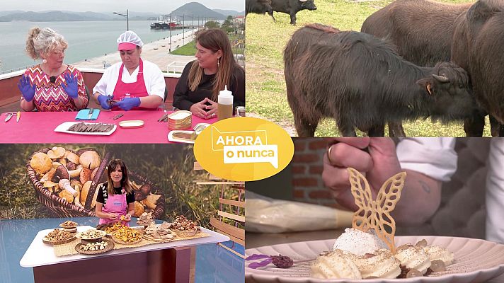 Ahora o nunca - Programa 334