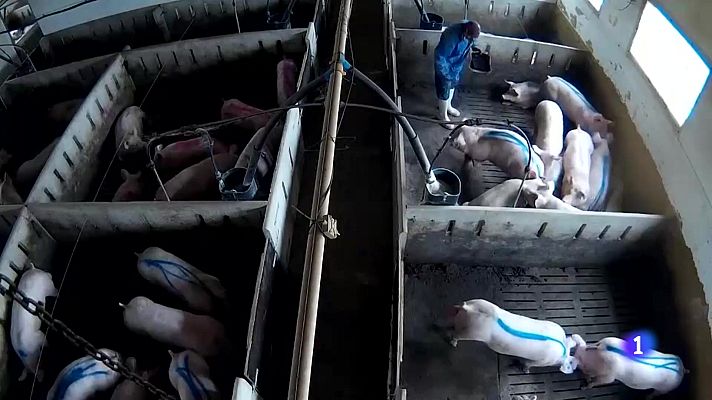 Noticias de Castilla y León - Castilla y León en 1' - 16/05/24