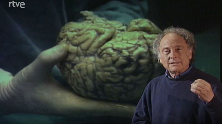 Redes - Cómo funciona la memoria y cómo se conserva (Parte 1)