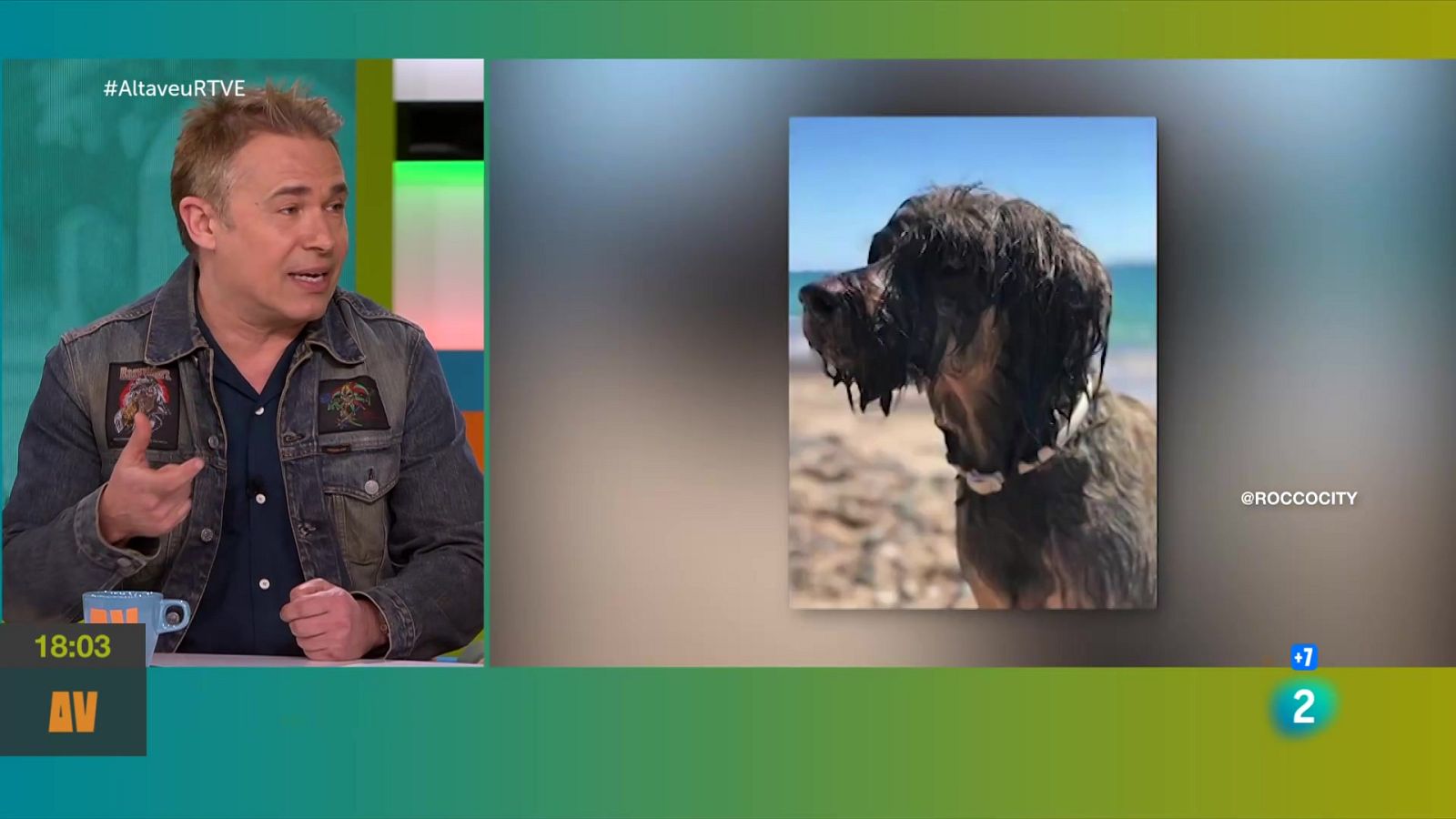 L'amor i la pèrdua d'una mascota | L'altaveu - L'altaveu | Veure