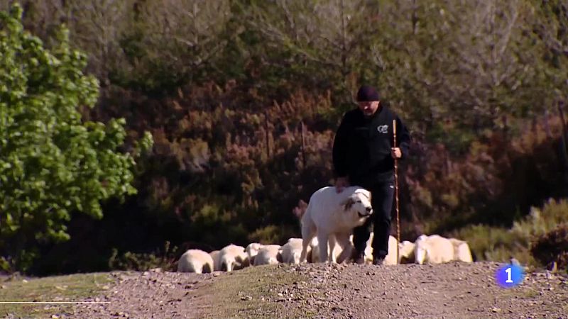 Informativo Telerioja - 17-05-2024 | Ver