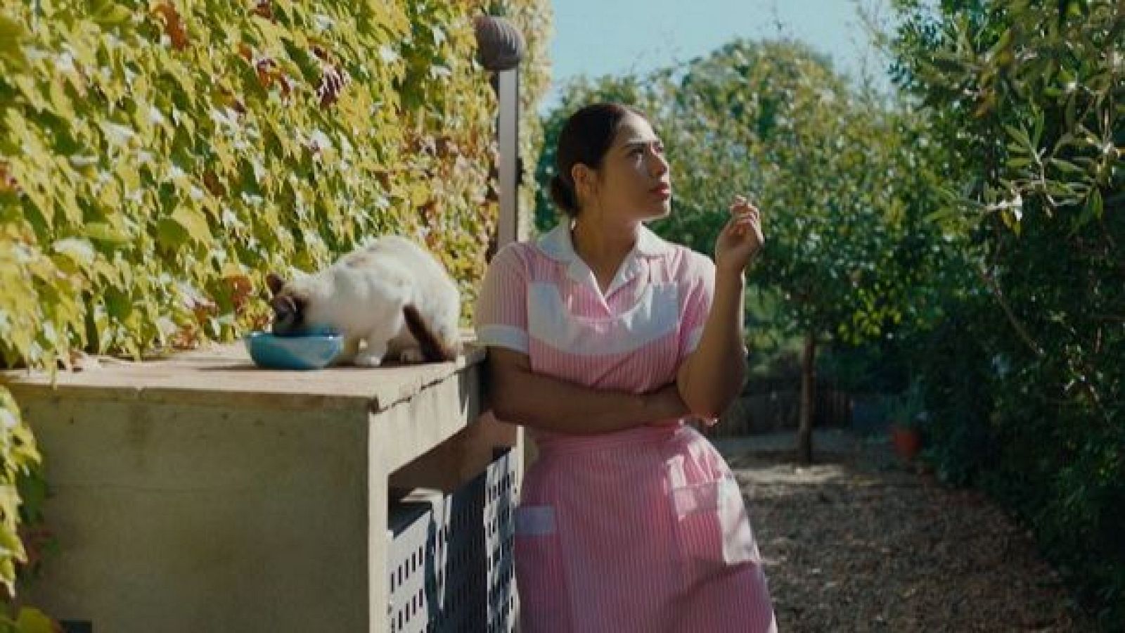 Días de Cine: Calladita | Ver