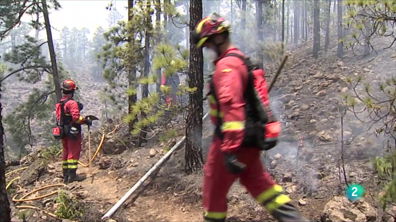 Telecanarias 2 - 17/05/2024 | Ver