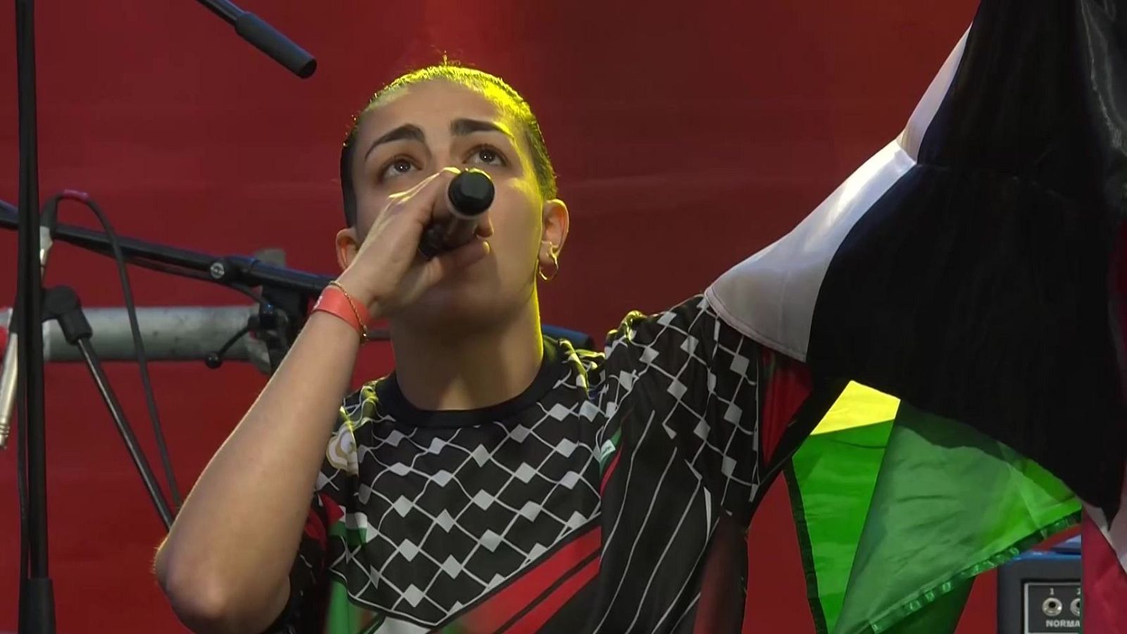 La cantante Huda muestra la bandera de Palestina | Ver
