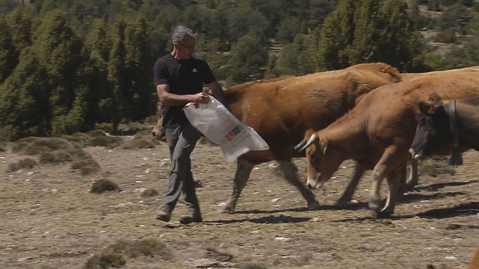 Agrosfera - 18/05/24 - ver ahora