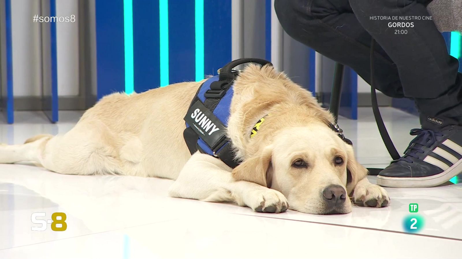 Somos 8 - 17/05/2024 - Somos 8 | Ver