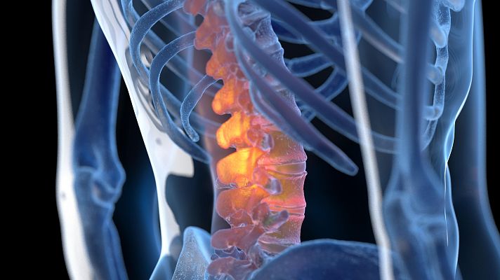 La tarde en 24h - Nueva investigación trae esperanza en la recuperación de las lesiones medulares en tetrapléjicos