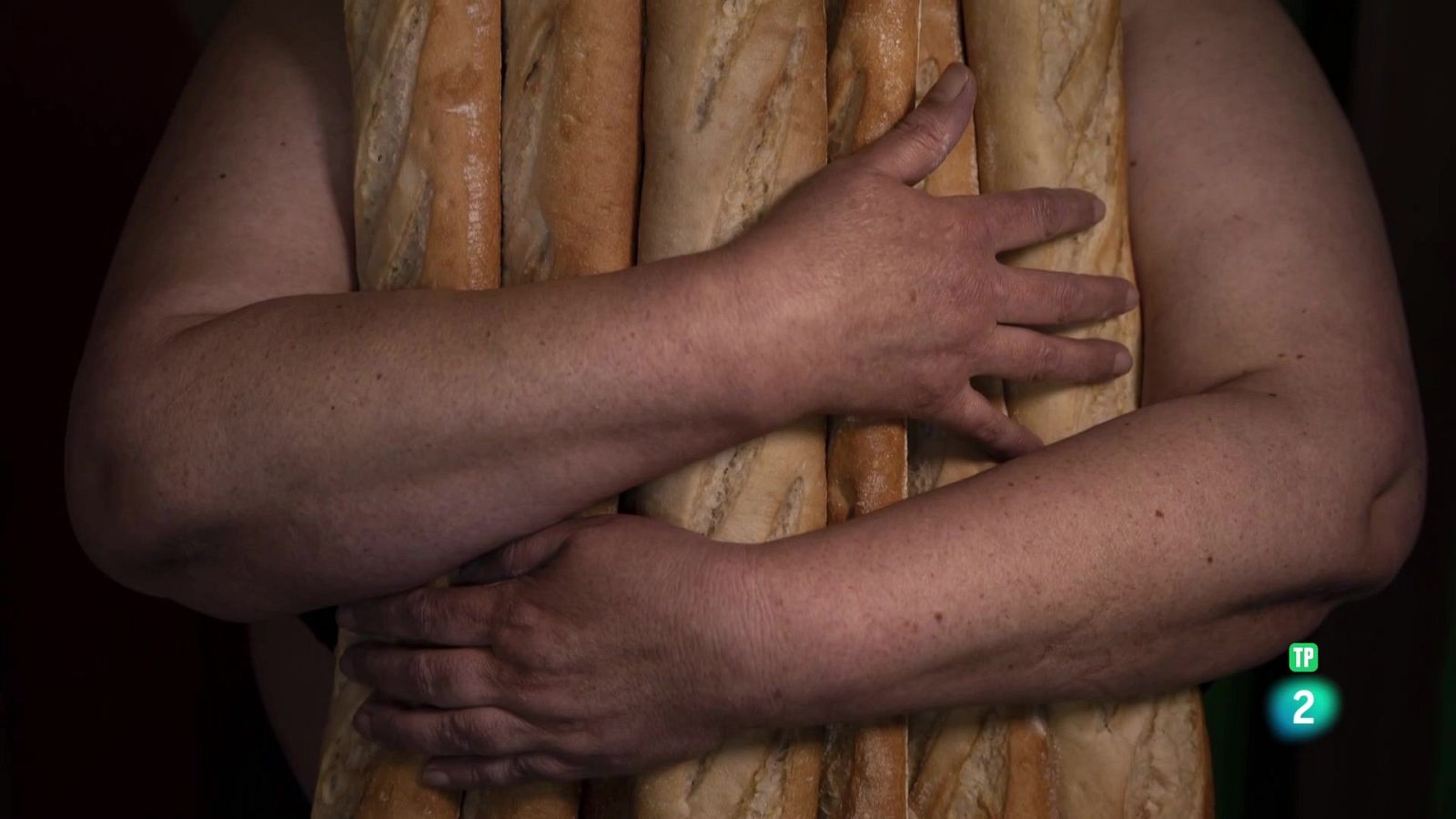 Acompañando a Rosa | Ver