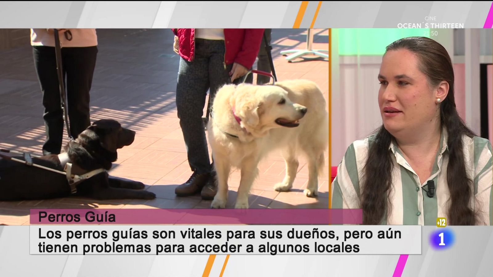 En Canarias hay unos 45 perros guías.

Ahora la ley es más efectiva en denunciar un trato marginal al perro guía porque es vital para sus dueños.