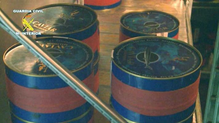 Telediario 1 - Inmovilización de alimentos