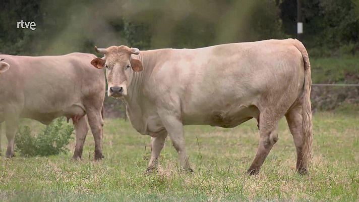 Aquí la Tierra - Aquí la Tierra - 23/05/24