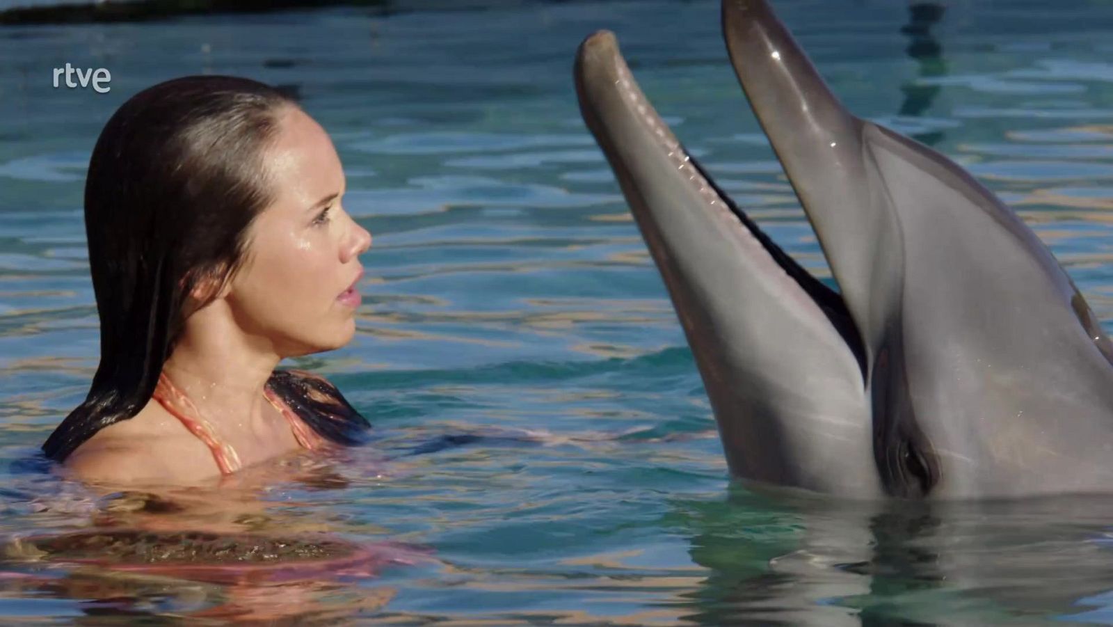 Nuevos comienzos - Las sirenas de Mako | Ver