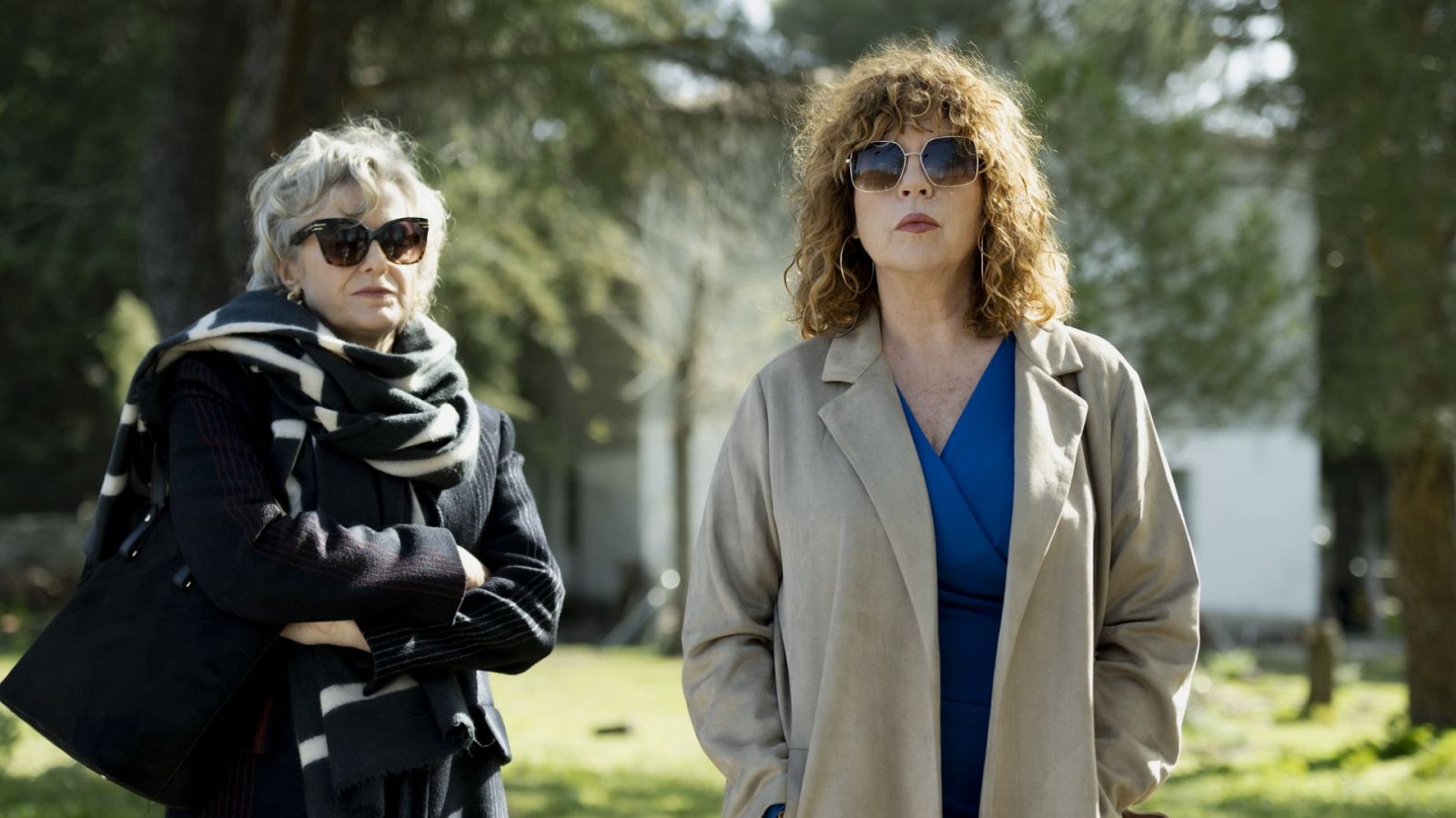 4 estrellas - Temporada 3 - Episodio 206: Historias enterradas - Ver ahora