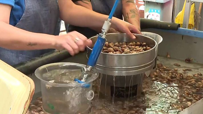 L'Informatiu - 15 tones de caragols consumides en el cap de setmana de l'Aplec del Caragol