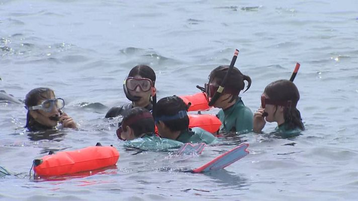 L'Informatiu - Voluntaris per la biodiversitat