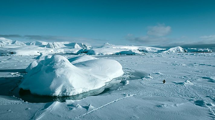 El cazador de cerebros - El cazador de cerebros - 26/05/24